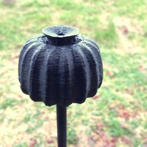 Italian Poppy Pod-like thing