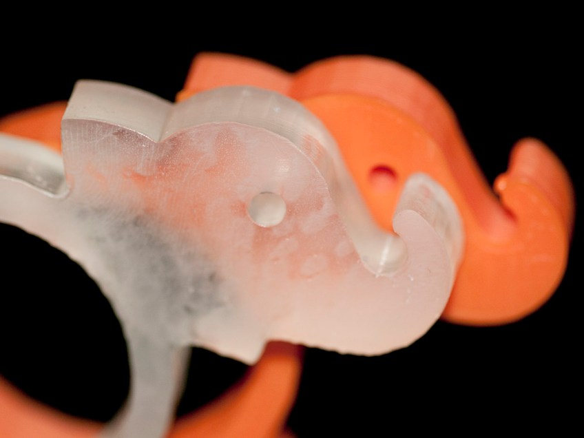 Elephant comparison 2